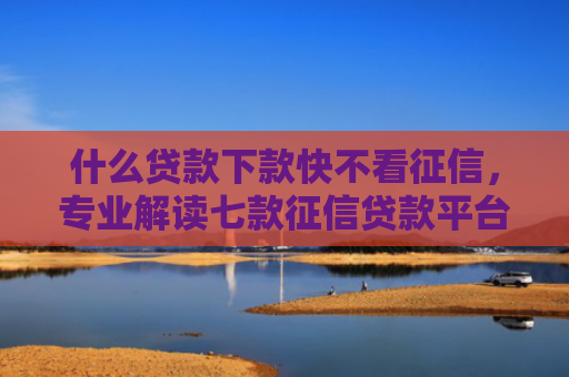 什么贷款下款快不看征信，专业解读七款征信贷款平台哪个好下款