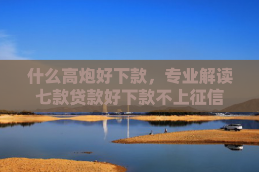 什么高炮好下款，专业解读七款贷款好下款不上征信