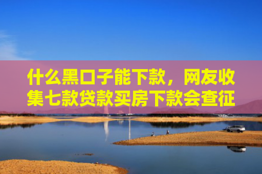 什么黑口子能下款，网友收集七款贷款买房下款会查征信