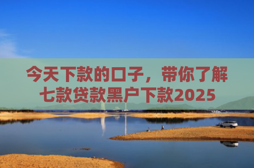 今天下款的口子，带你了解七款贷款黑户下款2025
