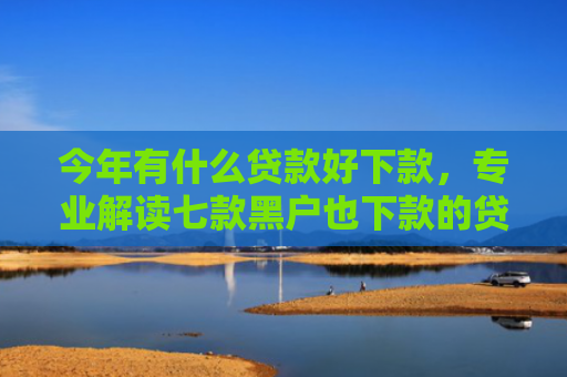 今年有什么贷款好下款，专业解读七款黑户也下款的贷款