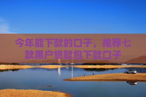 今年能下款的口子，推荐七款黑户贷款包下款口子