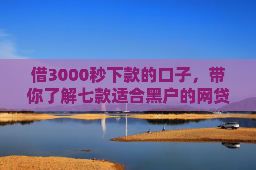借3000秒下款的口子，带你了解七款适合黑户的网贷在线下款