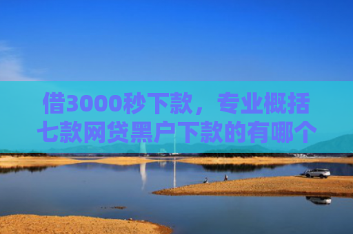 借3000秒下款，专业概括七款网贷黑户下款的有哪个