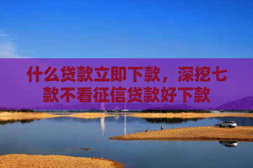 什么贷款立即下款，深挖七款不看征信贷款好下款