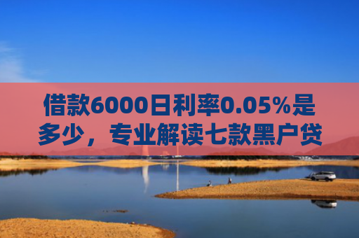 借款6000日利率0.05%是多少，专业解读七款黑户贷款的网贷能下款吗