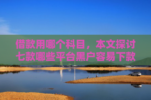 借款用哪个科目，本文探讨七款哪些平台黑户容易下款