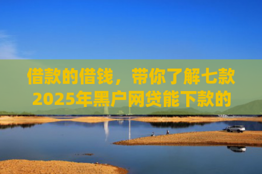 借款的借钱，带你了解七款2025年黑户网贷能下款的app