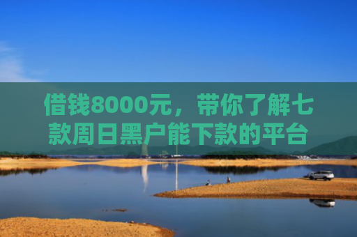 借钱8000元，带你了解七款周日黑户能下款的平台