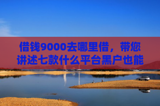 借钱9000去哪里借，带您讲述七款什么平台黑户也能下款