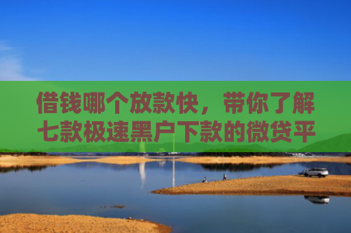 借钱哪个放款快，带你了解七款极速黑户下款的微贷平台