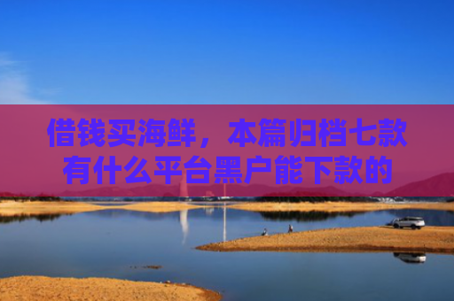 借钱买海鲜，本篇归档七款有什么平台黑户能下款的