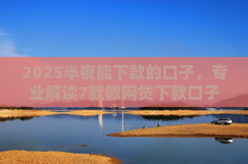 2025半夜能下款的口子，专业解读7款微网贷下款口子