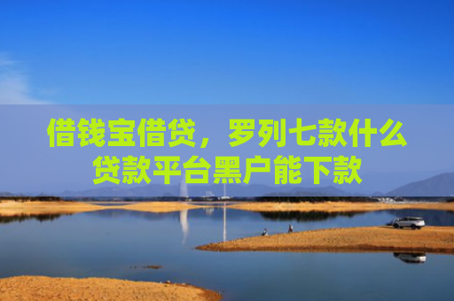 借钱宝借贷，罗列七款什么贷款平台黑户能下款