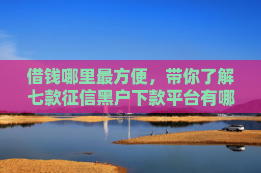 借钱哪里最方便，带你了解七款征信黑户下款平台有哪些