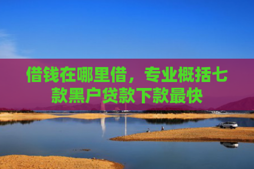 借钱在哪里借，专业概括七款黑户贷款下款最快