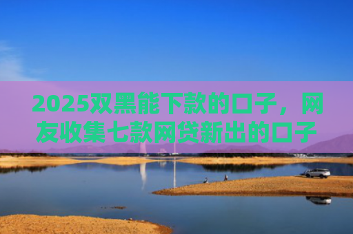 2025双黑能下款的口子，网友收集七款网贷新出的口子秒下款