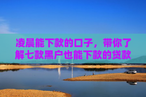凌晨能下款的口子，带你了解七款黑户也能下款的贷款平台