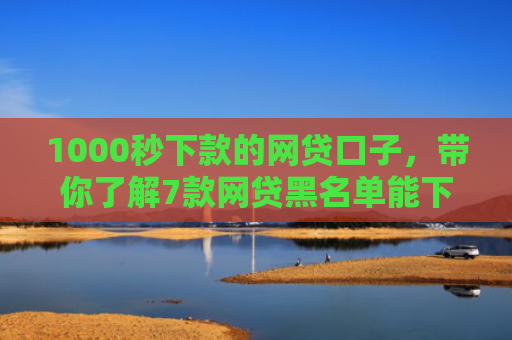 1000秒下款的网贷口子，带你了解7款网贷黑名单能下款的口子
