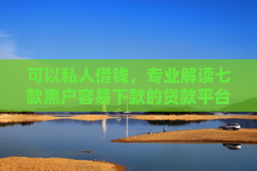 可以私人借钱，专业解读七款黑户容易下款的贷款平台