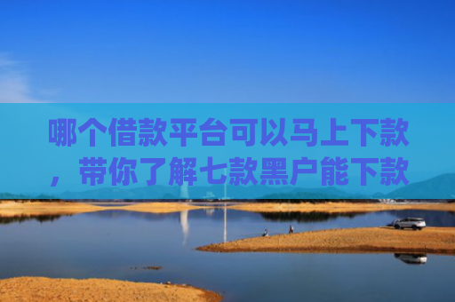 哪个借款平台可以马上下款，带你了解七款黑户能下款的小额贷款app