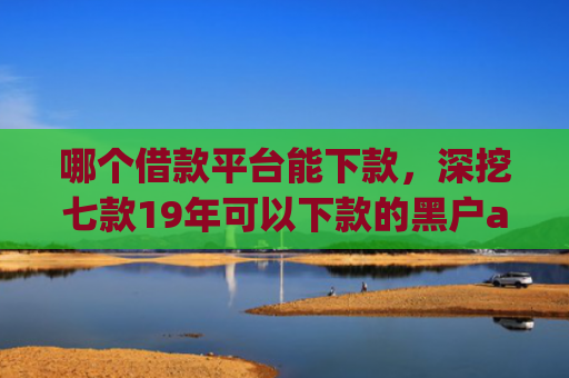 哪个借款平台能下款，深挖七款19年可以下款的黑户app