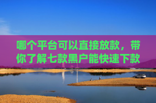 哪个平台可以直接放款，带你了解七款黑户能快速下款的小额贷款app