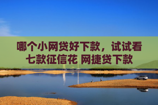 哪个小网贷好下款，试试看七款征信花 网捷贷下款