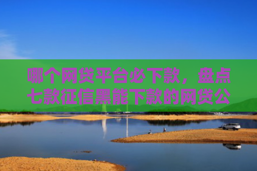 哪个网贷平台必下款，盘点七款征信黑能下款的网贷公司