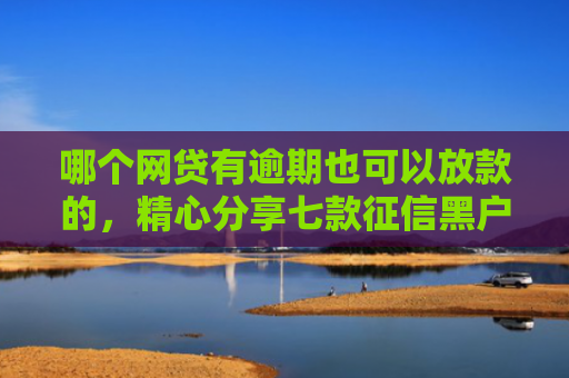 哪个网贷有逾期也可以放款的，精心分享七款征信黑户网贷能下款