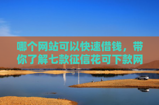 哪个网站可以快速借钱，带你了解七款征信花可下款网贷