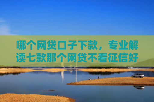 哪个网贷口子下款，专业解读七款那个网贷不看征信好下款