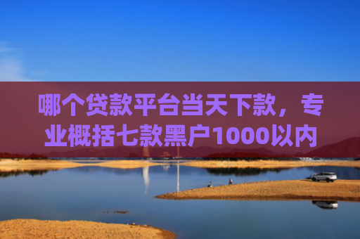 哪个贷款平台当天下款，专业概括七款黑户1000以内必下款的app