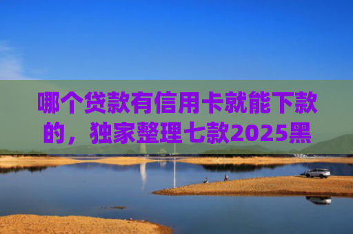 哪个贷款有信用卡就能下款的，独家整理七款2025黑户夜间秒下款的App