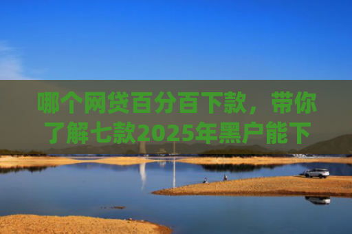 哪个网贷百分百下款，带你了解七款2025年黑户能下款的小额贷款app