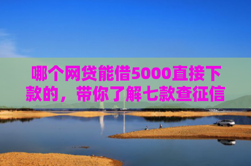 哪个网贷能借5000直接下款的，带你了解七款查征信就下款的网贷