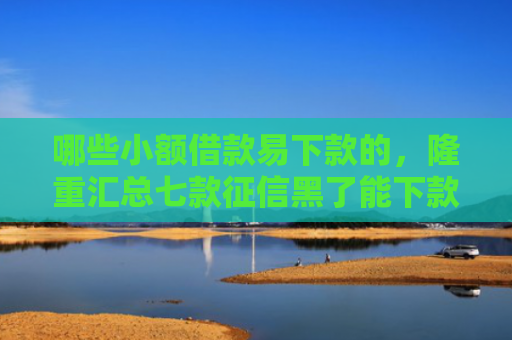 哪些小额借款易下款的，隆重汇总七款征信黑了能下款的网贷