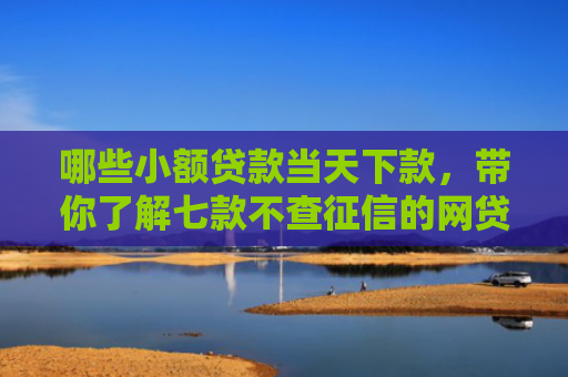 哪些小额贷款当天下款，带你了解七款不查征信的网贷易下款