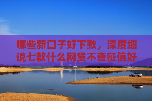 哪些新口子好下款，深度细说七款什么网贷不查征信好下款