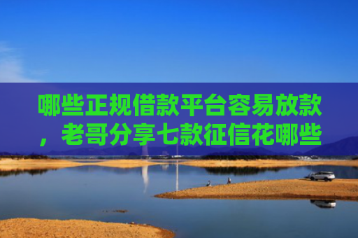 哪些正规借款平台容易放款，老哥分享七款征信花哪些网贷会下款