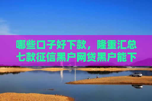 哪些口子好下款，隆重汇总七款征信黑户网贷黑户能下款