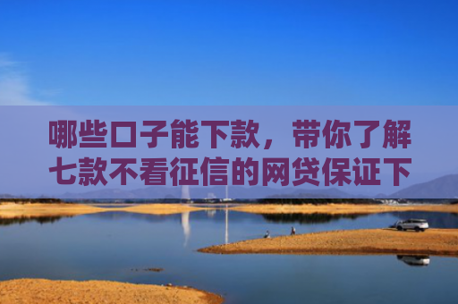 哪些口子能下款，带你了解七款不看征信的网贷保证下款