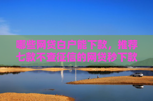 哪些网贷白户能下款，推荐七款不查征信的网贷秒下款