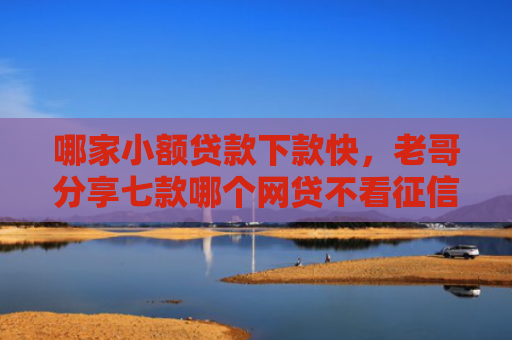 哪家小额贷款下款快，老哥分享七款哪个网贷不看征信下款