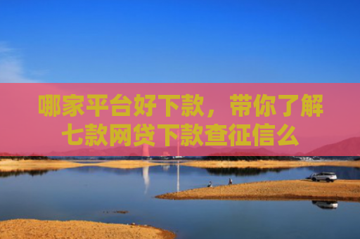 哪家平台好下款，带你了解七款网贷下款查征信么