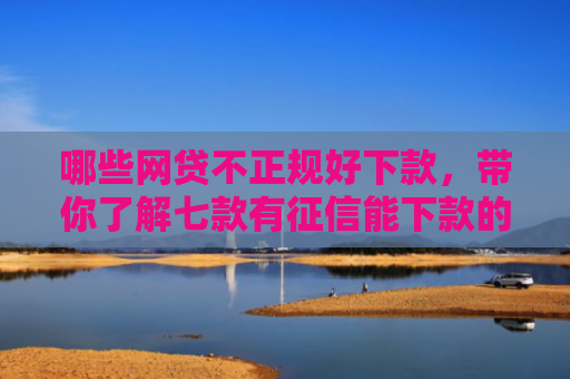 哪些网贷不正规好下款，带你了解七款有征信能下款的网贷