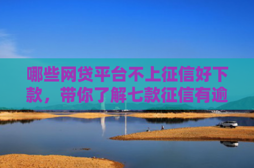 哪些网贷平台不上征信好下款，带你了解七款征信有逾期网贷不下款