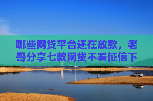 哪些网贷平台还在放款，老哥分享七款网贷不看征信下款快6