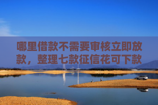哪里借款不需要审核立即放款，整理七款征信花可下款的网贷