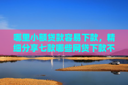 哪里小额贷款容易下款，精细分享七款哪些网贷下款不查看征信